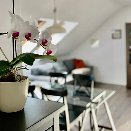 Storczykowa Airport Apartment *