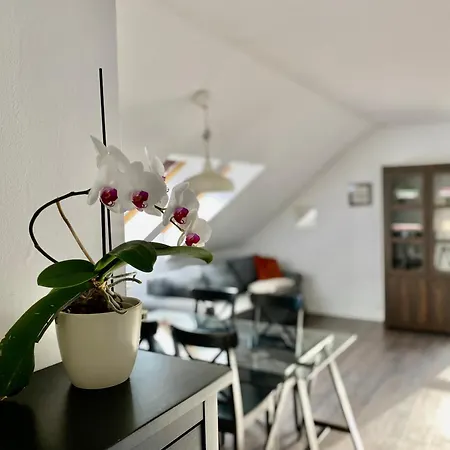 Apartment Storczykowa Airport